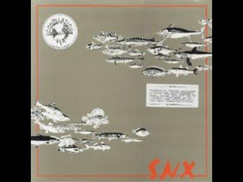 SNX - Pekka Airaksinen
