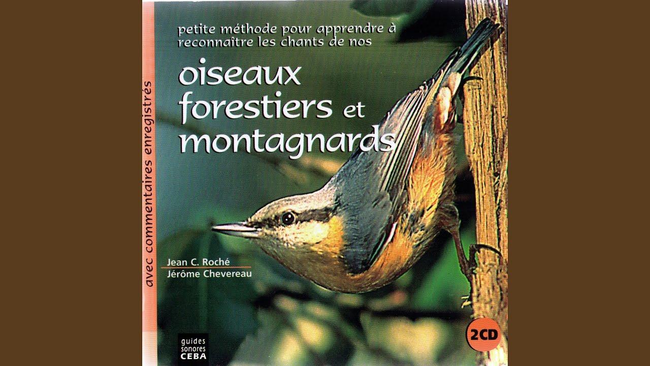 Oiseaux des Alpes / Birds of the Alps - Jean C. Roche