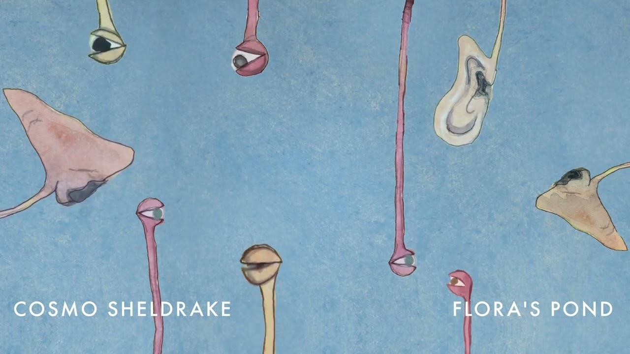 Eye to the Ear - Cosmo Sheldrake
