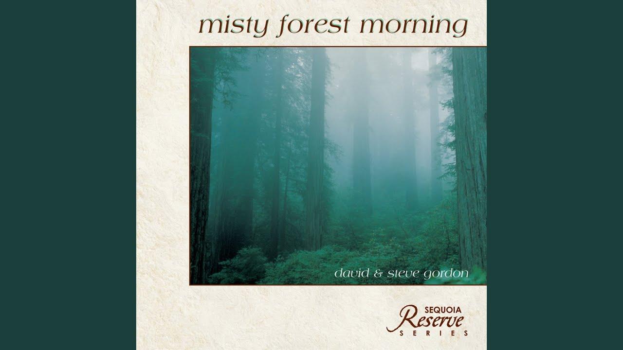 Misty Forest Morning - David & Steve Gordon