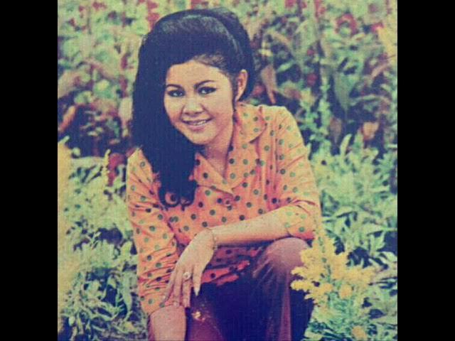 Thai Funk ZudRangMa Vol.2 - Don Sornrabeab