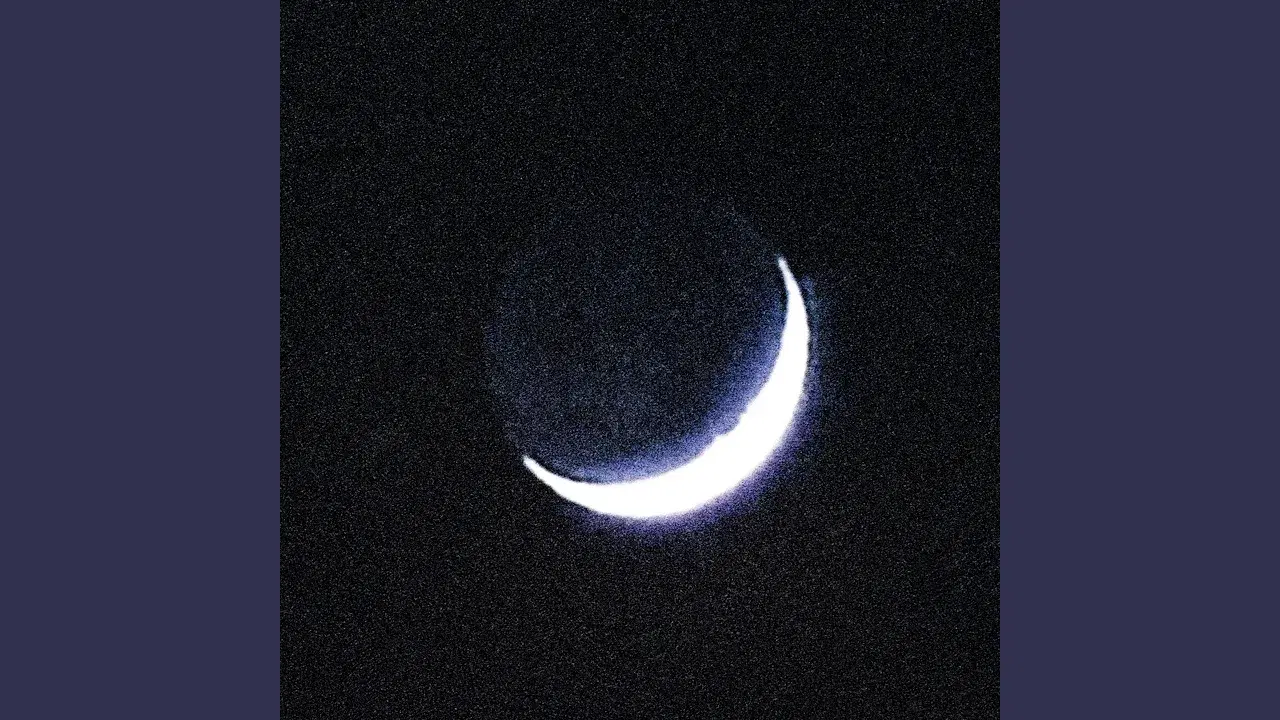 ط​ر​ب TARAB - Oiseaux Temp