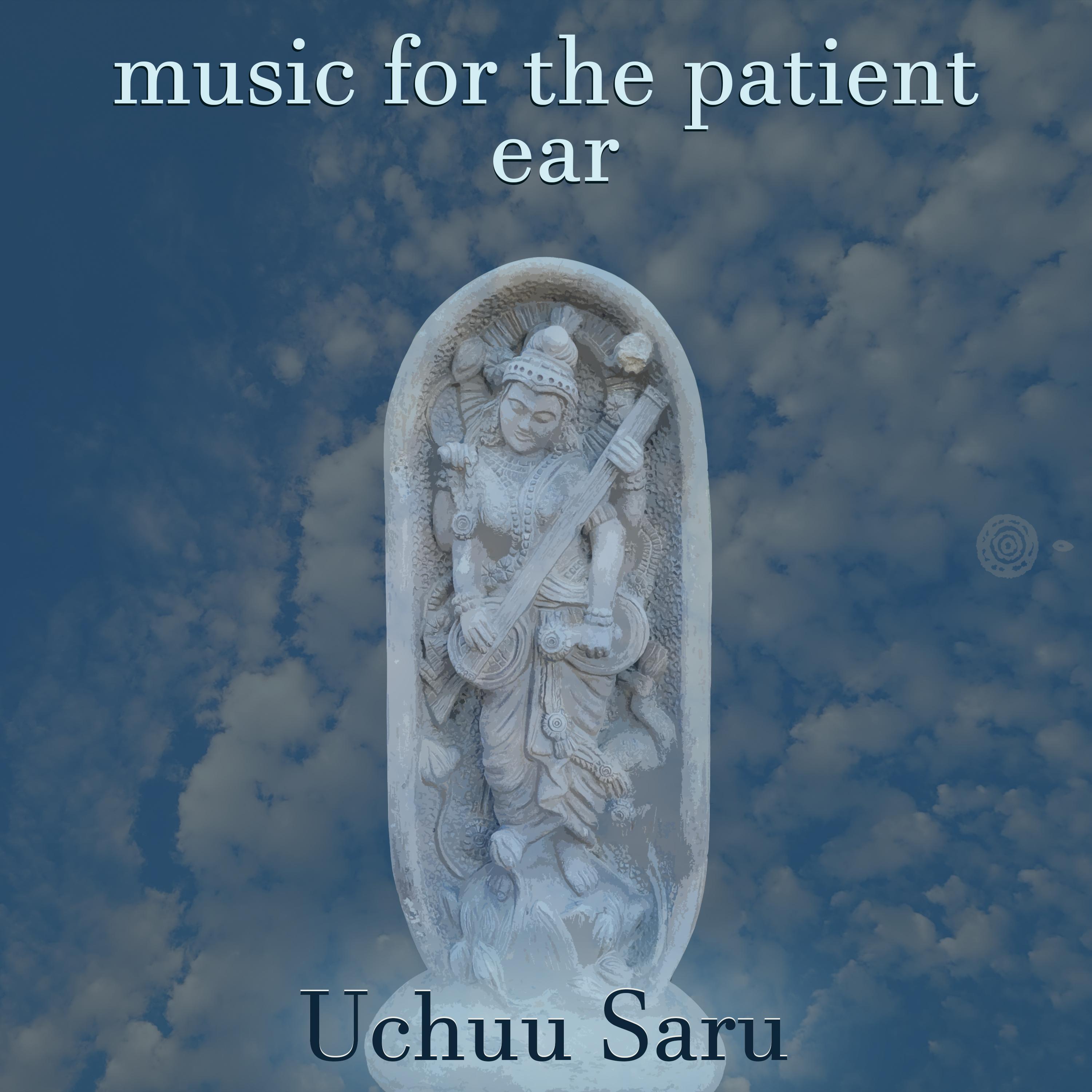 Music for the Patient Ear - Uchuu Saru