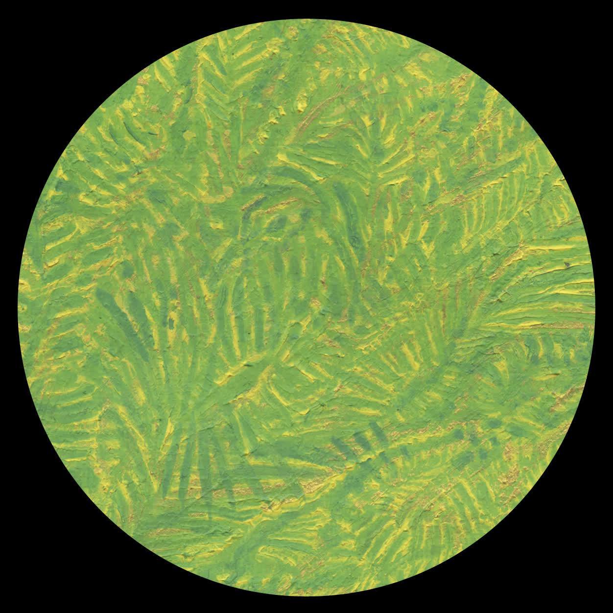 The Bongoman Archive - Dona