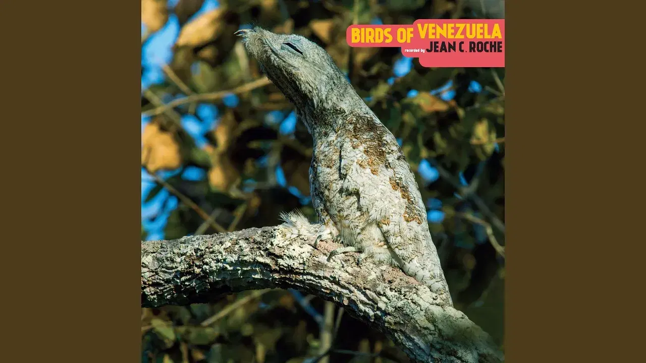 Birds Of Venezuela - Jean C. Roche