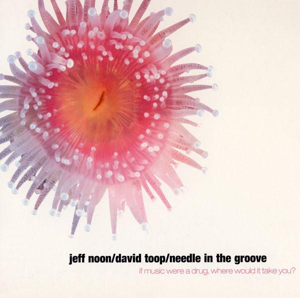 Needle In The Groove - Jeff Noon & David Toop