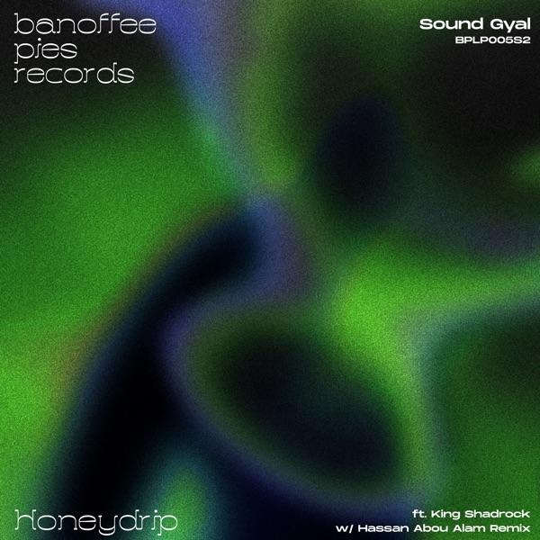Sound Gyal (feat. King Shadrock) - Single - Honeydrip