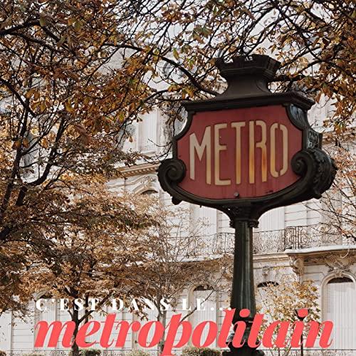 C'est Dans Le Metropolitain - Elsa Rossignol