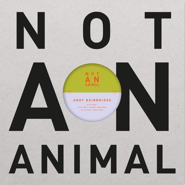Up Too Much - Andy Bainbridge