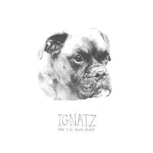 Can I Go Home Now? - Ignatz