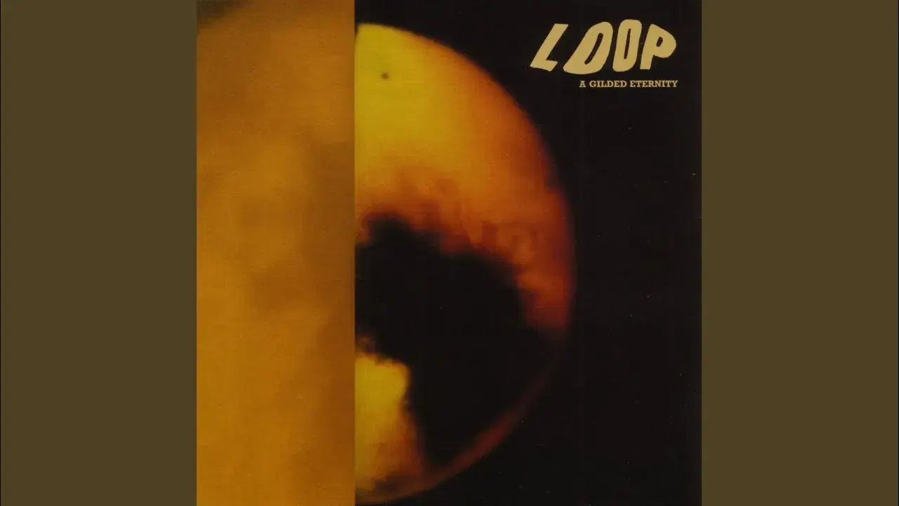  - Loop