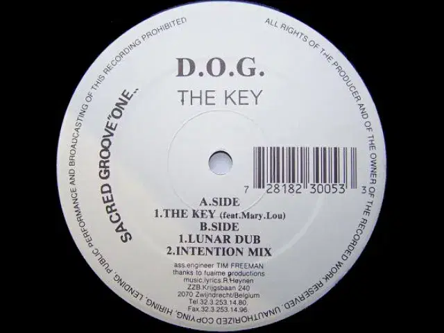 The Key - Disciples Ov Gaia