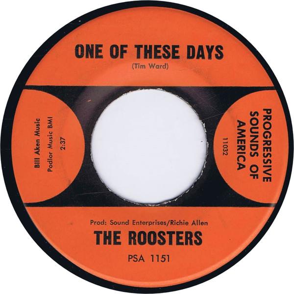 One Of These Days / You Gotta Run - The Roosters