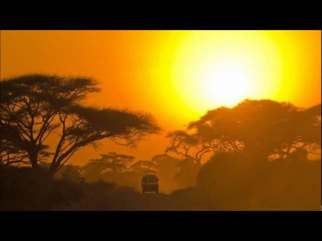 Jungle Exotica Volume 2 - The Trebel Tones