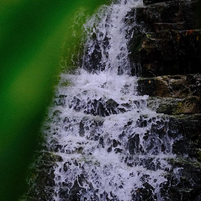 An Offering - Photay with Carlos Niño
