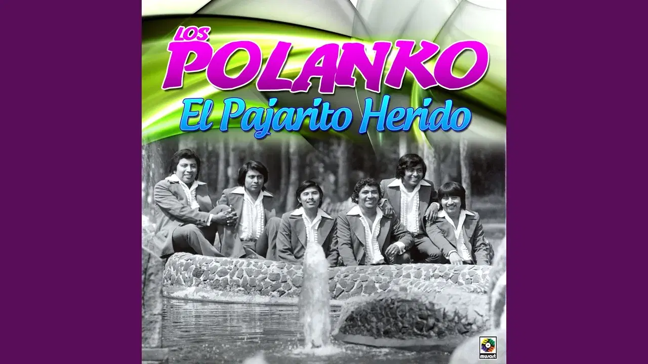 El Pajarito Herido - Polanko