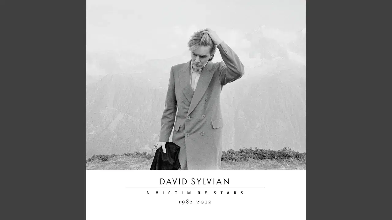 A Victim of Stars 1982-2012 - Ryuichi Sakamoto & David Sylvian
