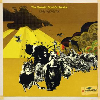 Stampede - Quantic Soul Orchestra