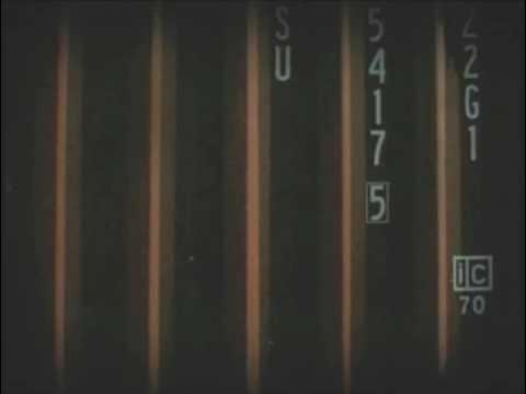 Bambi Molesters - Bambi Molesters