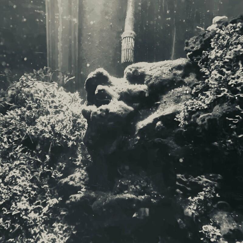 Gone - Haruhisa Tanaka