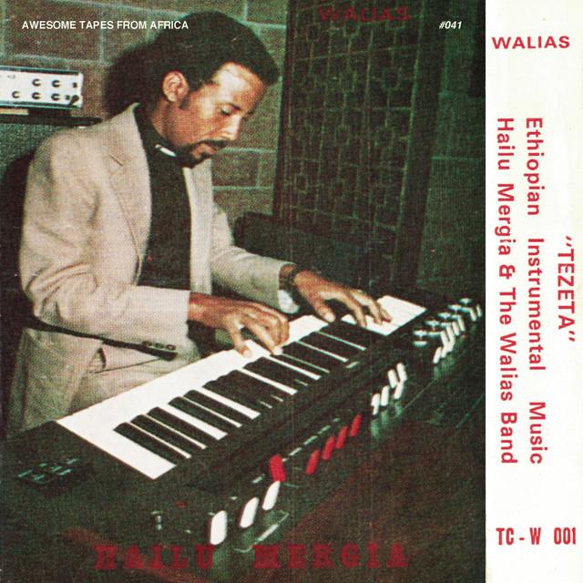 Tezeta - Hailu Mergia, The Walias
