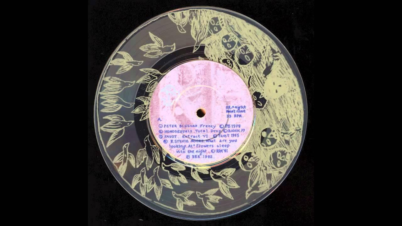 a tribute to flexi-pop vol 2 - R. Stevie Moore