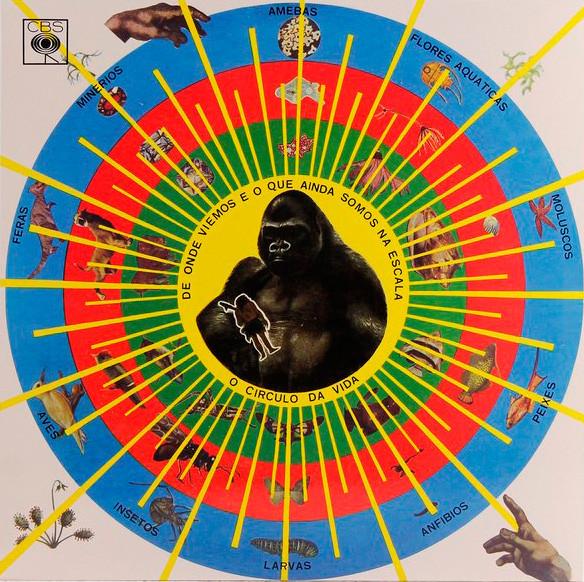Krishnanda - Pedro Santos
