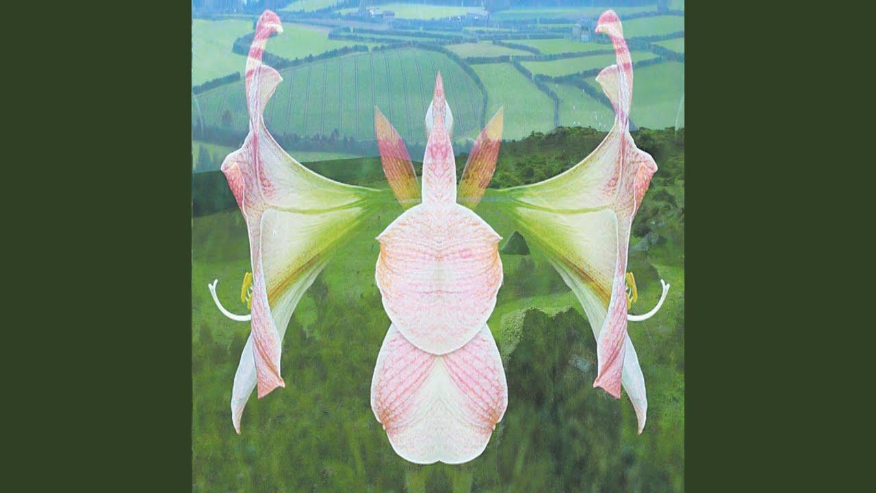 Amaryllis Dream - Ishq & Yunomi