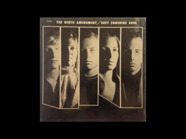 Soft Sunshine Soul - Ninth Amendment