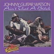 Ain't That A Bitch - Johnny 'Guitar' Watson