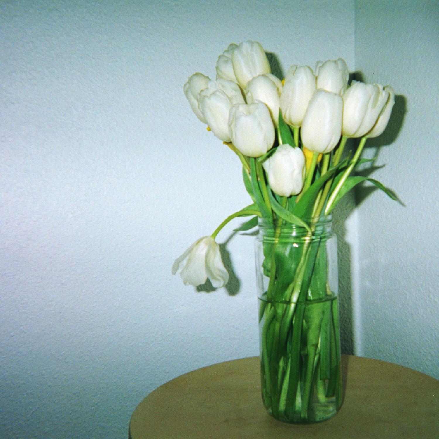 A Heavenly Touch - claire rousay