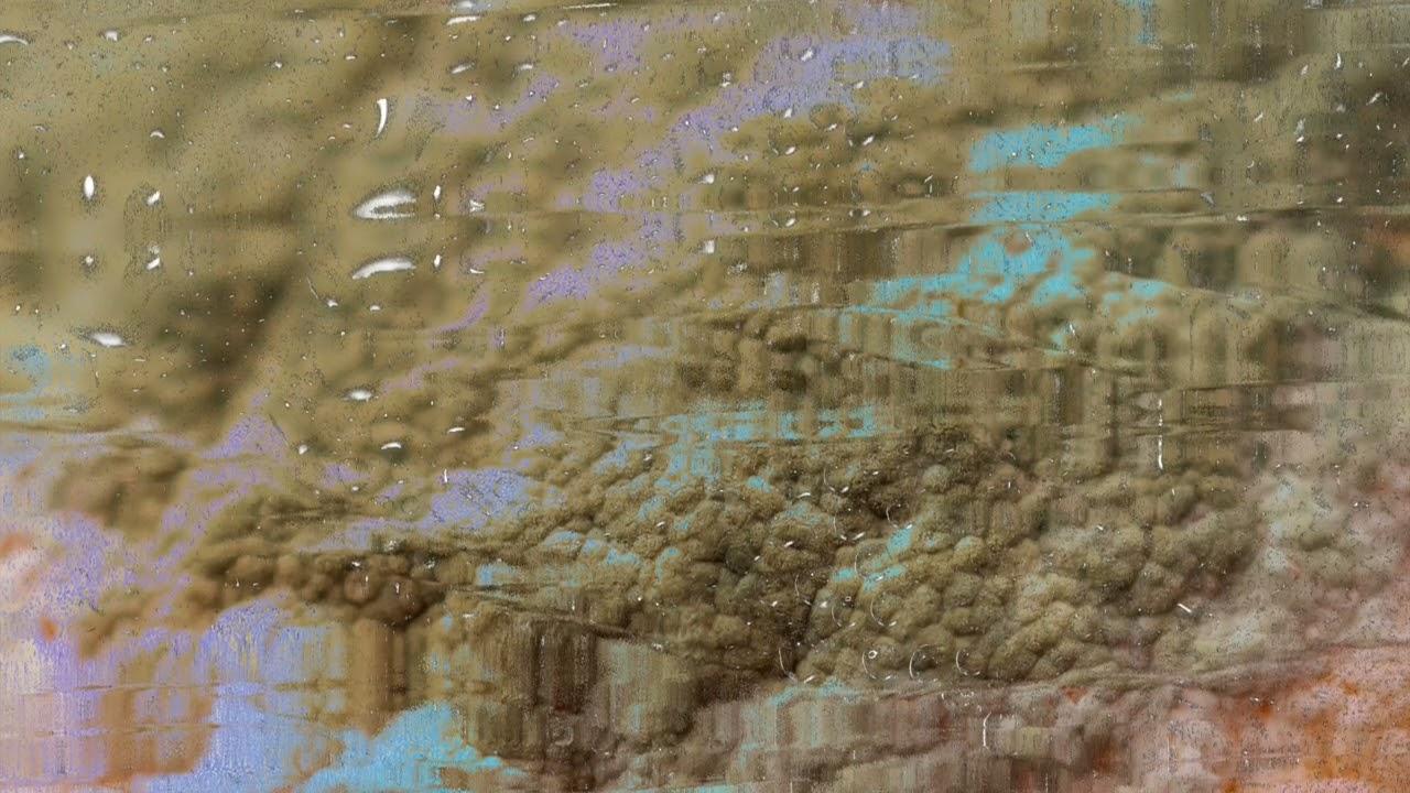 Aerosol - BLEID