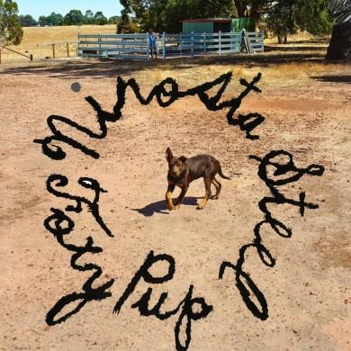 Foxy Pup - Nirosta Steel