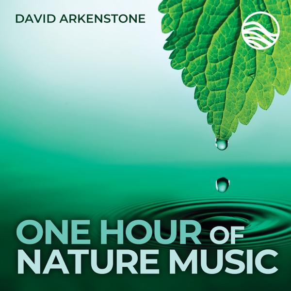 Gentle Rain - David Arkenstone