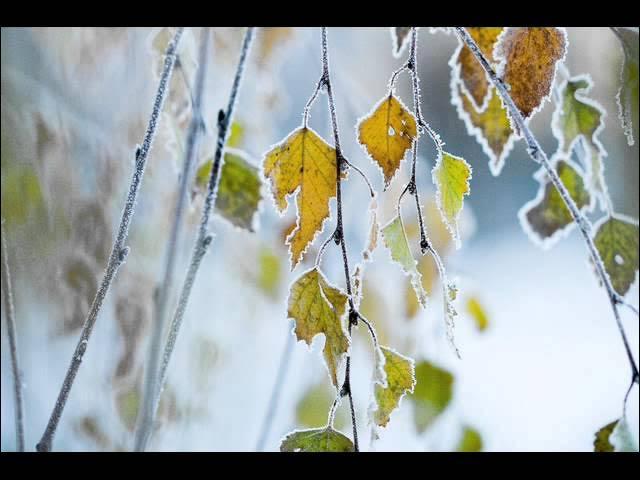 Take Heart - Mimi Farina & Tom Jans