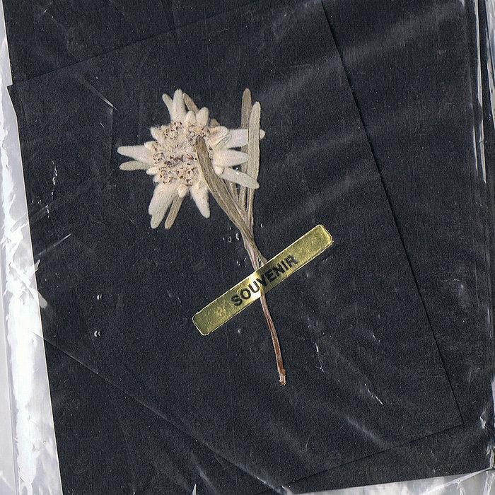 A Souvenir That Lasts - Louis Vogue