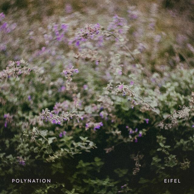 Eifel - Polynation