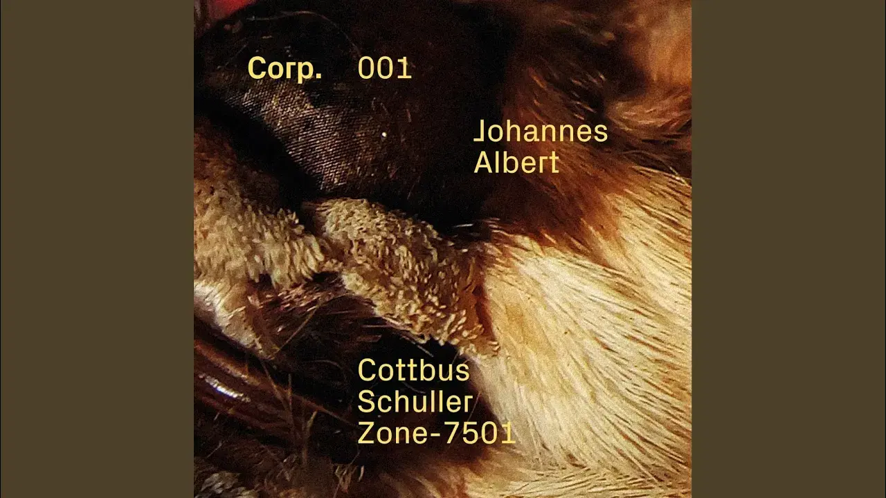 Cottbus - Johannes Albert