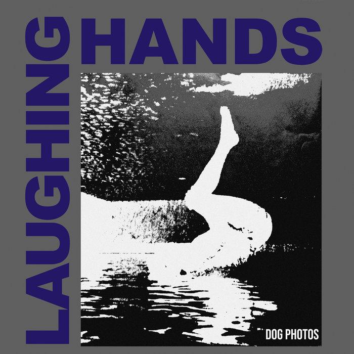 Dog Photos - Laughing Hands