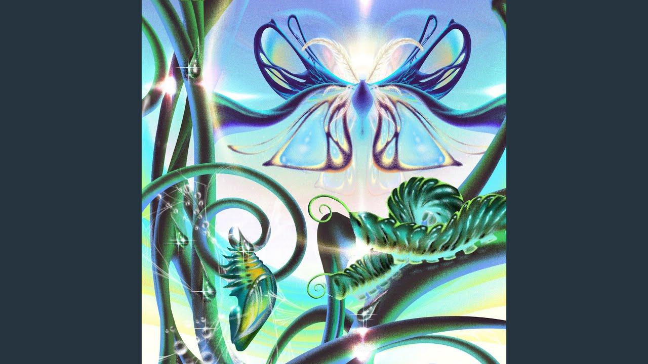Hornworm Metamorphosis - Ozoyo