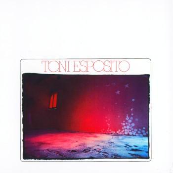 VINYL RIP - Toni Esposito