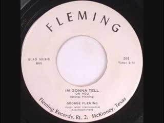 Roller Coaster Rockers, Volume 1 - George Fleming