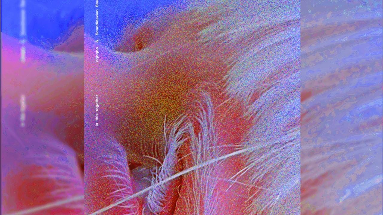 In This Together - oqbqbo, Scandinavian Star