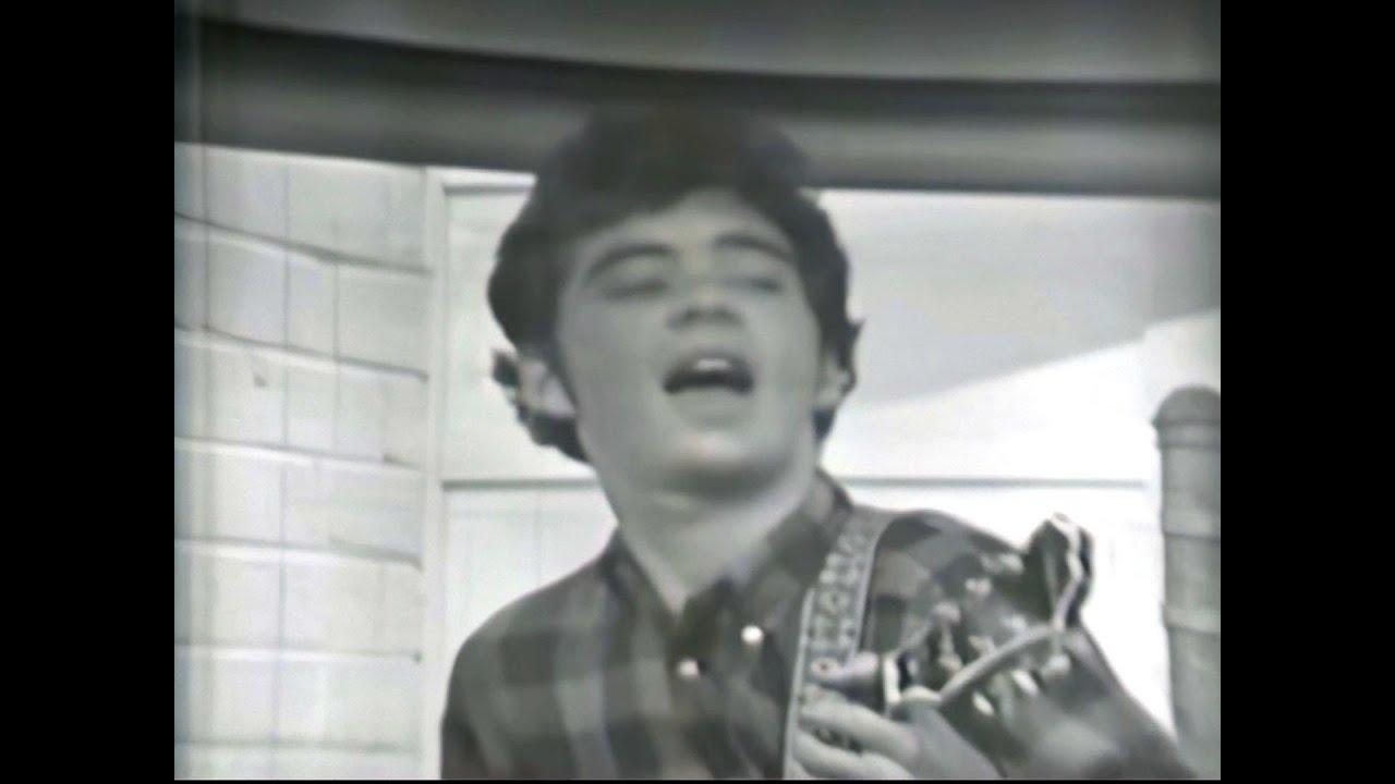 The Psychedelic Sounds of the 13th Floor Elevators - 13th Floor Elevators, Erickson, Hall