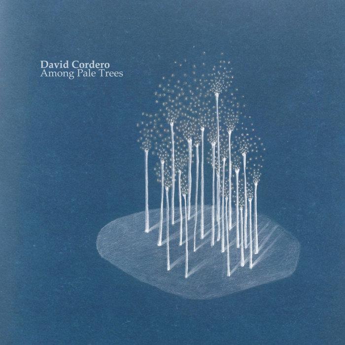 Among Pale Trees - David Cordero
