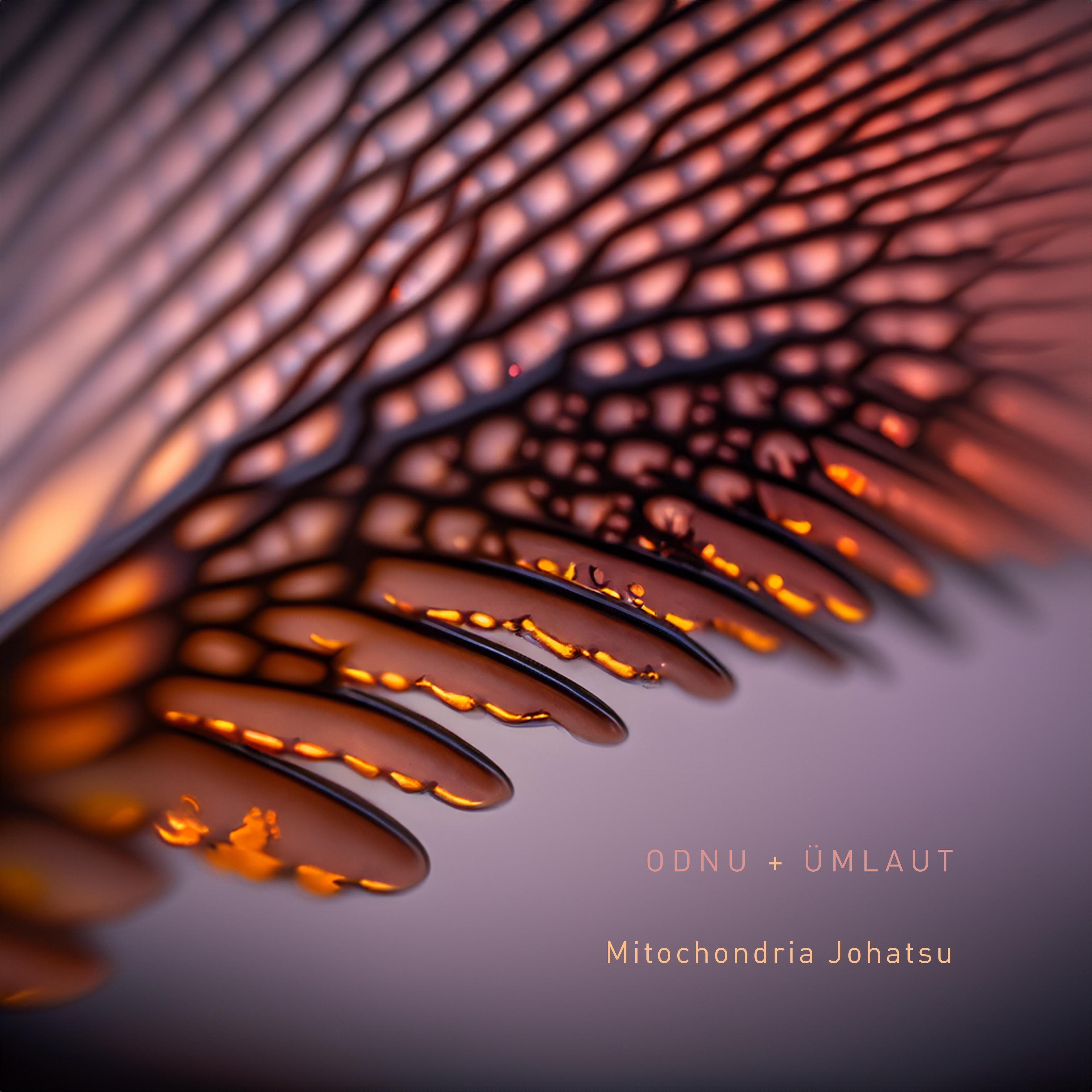Mitochondria Johatsu - OdNu + Ümlaut