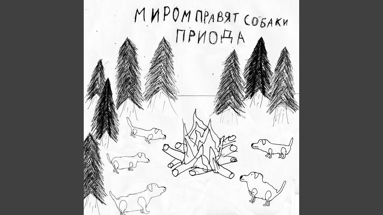  - Миром Правят Собаки