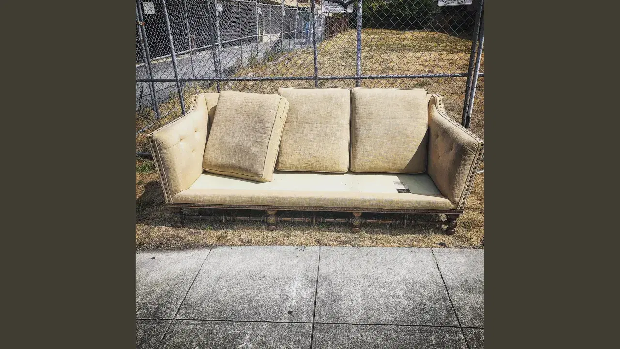 Couch - Mestizo and Controller 7