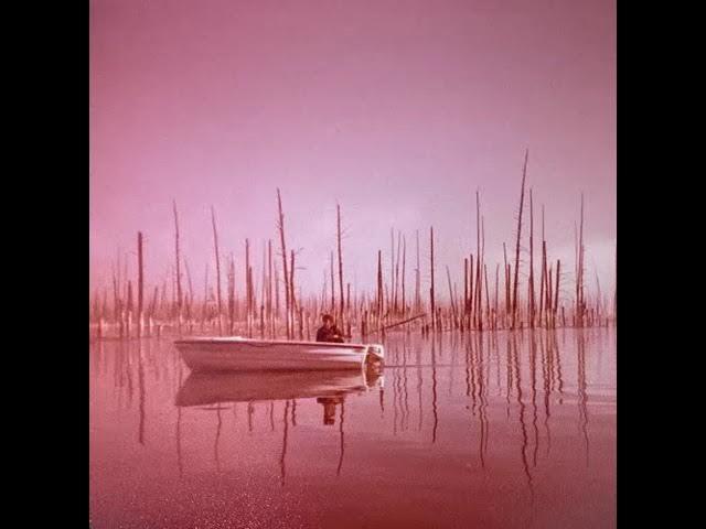  - Glint