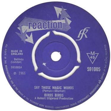 Say Those Magic Words - Birds Birds